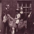 Lord Shaftesbury's donkey